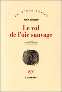 badescu_vol_oie_sauvage